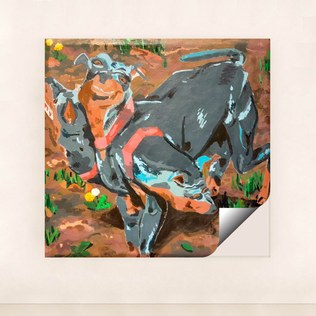 Dog